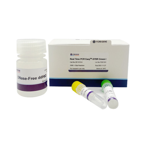 Real Time PCR EasyTM-Taqman